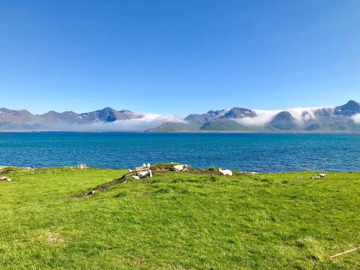 Eggum Rorbuer Feriehus